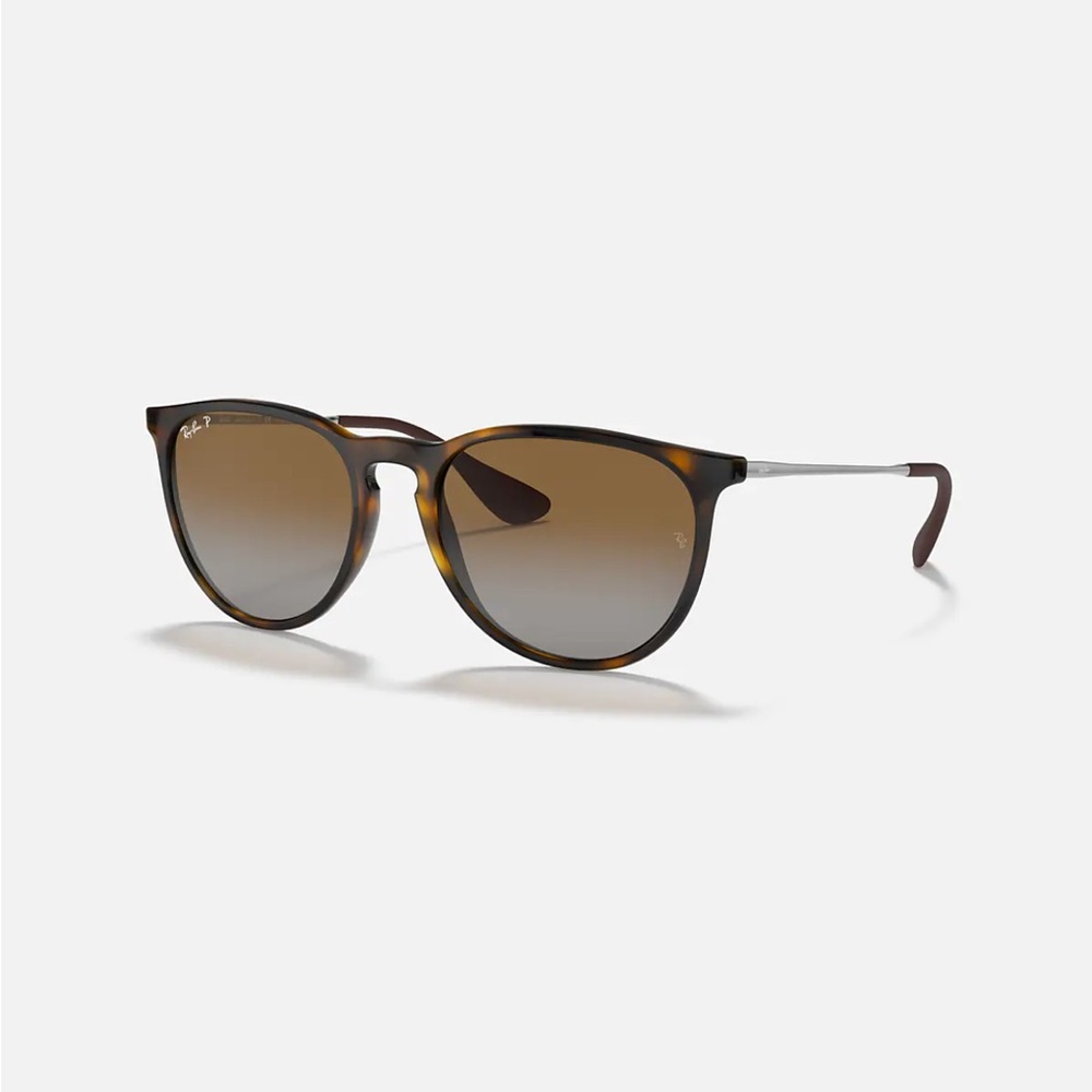 Ray-Ban Erika Classic Polarized Sunglasses